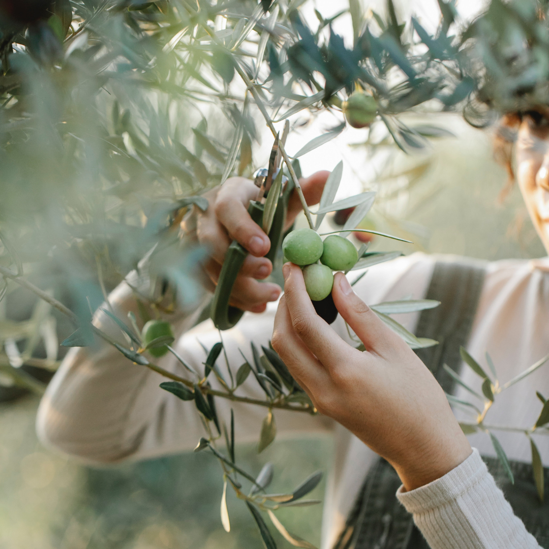 Cosmetici eco bio: perché costano di più? Sfatiamo i falsi miti e scopriamo la verità!